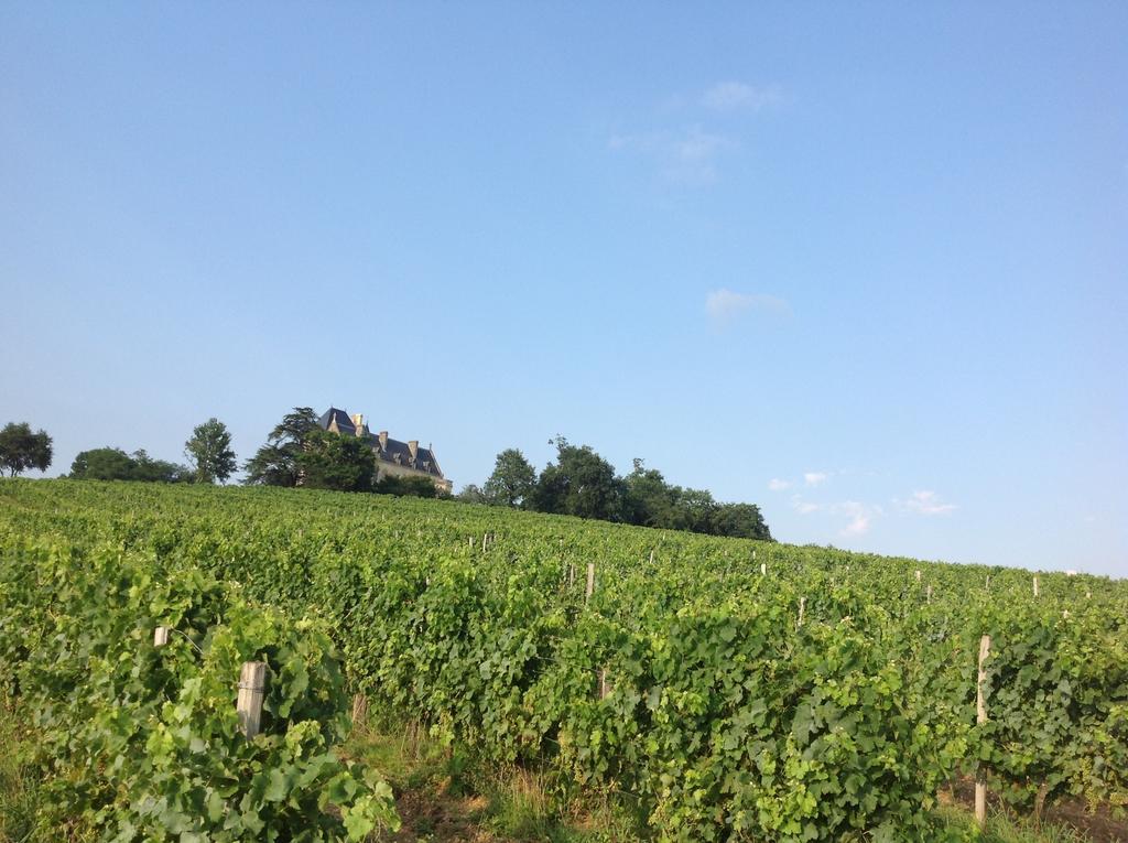 캐딜락 Chateau Fauchey B&B 외부 사진